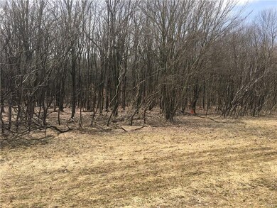 Land view