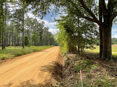 Jim Maloy Road