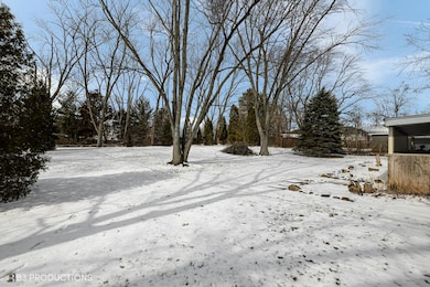 18660 Loras Ln, Country Club Hills, IL 60478 - photo 2