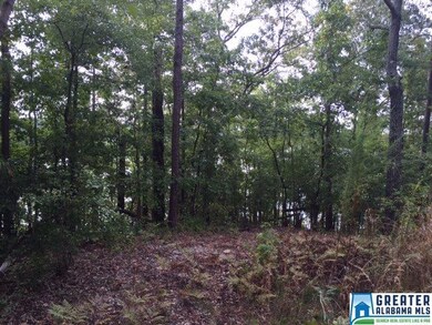0 County Road 3291 unit 762028, Wedowee, AL 36278 - photo 6