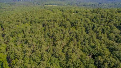 Solid Tree Cover over property.