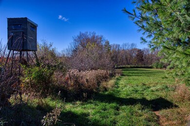 25005 Norhardt Ave, Ontario, WI 54651 - photo 6