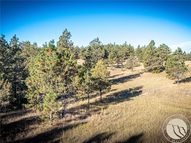 86 Remington Trail, Roundup, MT 59072 - photo 4