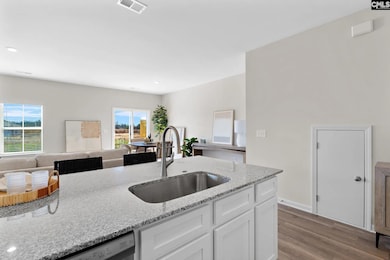 332 S Lake Dr, Lexington, SC 29072 - photo 7