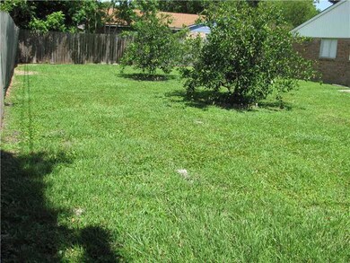 Backyard.
