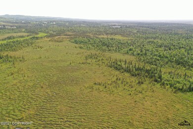 C30 Alaskan Wildwood Ranch(r), Anchor Point, AK 99556 - photo 7