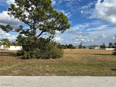 2353 NW 37th Place, Cape Coral, FL 33993 - photo 4