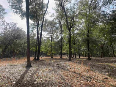 X Samuel Rd, Crawfordville, FL 32327 - photo 6