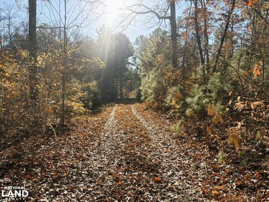 0 Pocket Rd, Lafayette, GA 30728 - photo 5