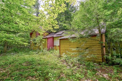 9 Pine Knoll Rd, Albany, NH 03818 - photo 6