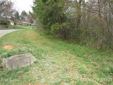 153 Birchwood Rd, Statesville, NC 28625 - photo 4