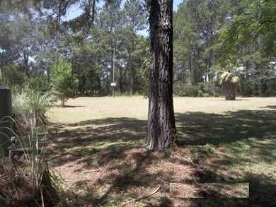 389 Schwall Rd, Havana, FL 32333 - photo 7