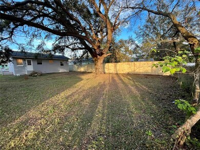 MASSIVE BACKYARD, NEW FENCE