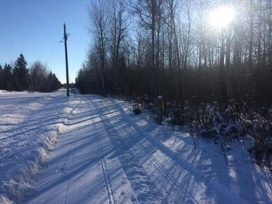 ON Phalzgraff Rd, Tomahawk, WI 54487 - photo 6