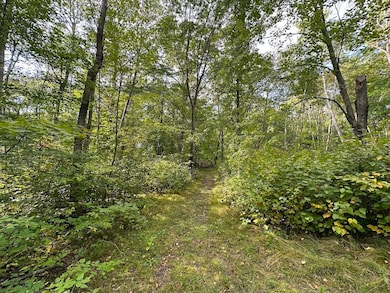 12463 30th St, Brainerd, MN 56401 - photo 7