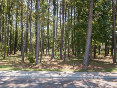 Street View DevaughnPark-66