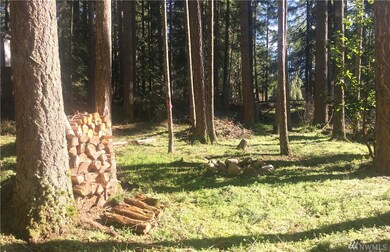 22636 Echowood Ln SE, Yelm, WA 98597 - photo 3