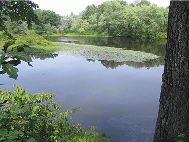 4D Bass St unit D, Newmarket, NH 03857 - photo 4