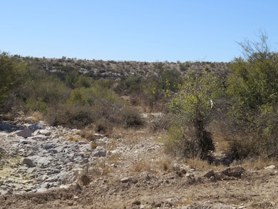 0 Shafter Crossing Rd, Dryden, TX 78851 - photo 4