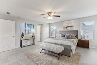 3216 Calendula Way, Murfreesboro, TN 37128 - photo 7