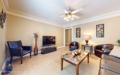 8301 Juanita Goins Ct unit 8301, Louisville, KY 40228 - photo 6