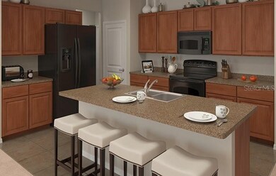 15422 Wicked Strong St, Sun City Center, FL 33573 - photo 5