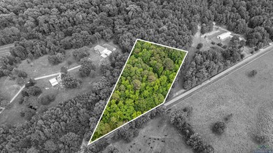 TBD Woodchuck Rd, Pittsburg, TX 75686 - photo 7