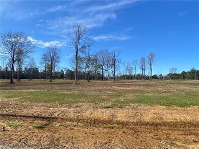 0 Sophie Ln unit Lot 52 CN164382, Dry Prong, LA 71423 - photo 4