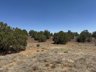 5 County Rd unit 8095, Concho, AZ 85924 - photo 5