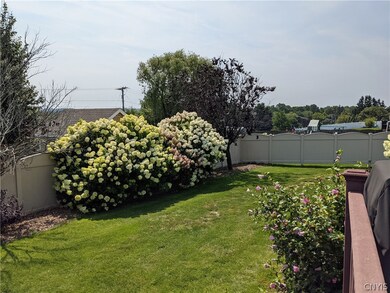 Another view of the back yard showing some of the