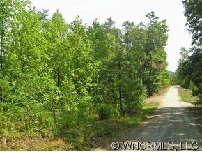 wooded lot