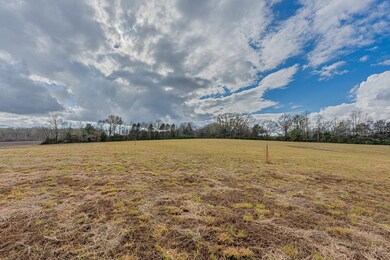0 Feathers Chapel Dr unit 10210471, Somerville, TN 38068 - photo 2