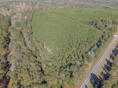 000 Avera Rd, Roberta, GA 31078 - photo 4