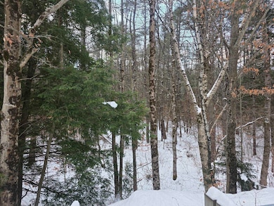 0 New Hampshire 10 unit 7, Gilsum, NH 03448 - photo 3