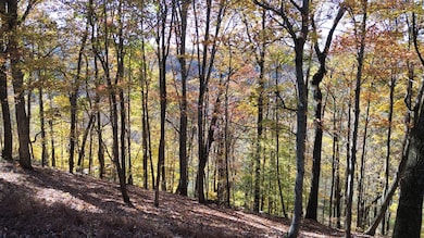 0 Savannah Dr unit RTC3042742, Smithville, TN 37166 - photo 3