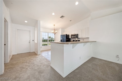 517 Nelson Rd N, Cape Coral, FL 33993 - photo 3