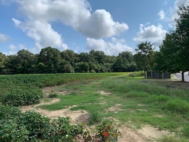 0 N Gordon St, Ashburn, GA 31714 - photo 3