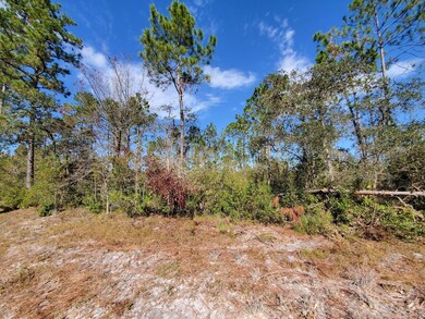 0 SW Prine Rd unit 20907962, Lee, FL 32059 - photo 5