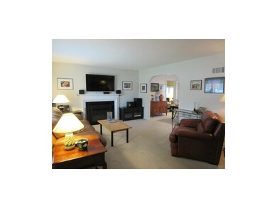 The living room has a gas start fireplace with new