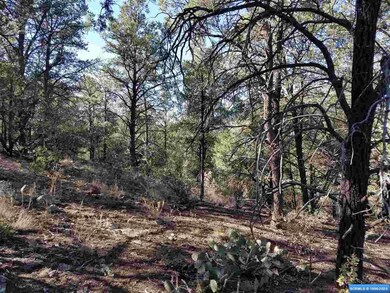 56 Vesuvius Way, Silver City, NM 88061 - photo 4