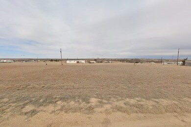 Haskell unit Clarendon TX 79068, Haskell, TX 79521 - photo 4