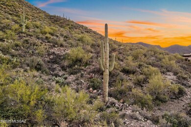 4251 W Mountain Side Dr unit 21, Tucson, AZ 85745 - photo 4