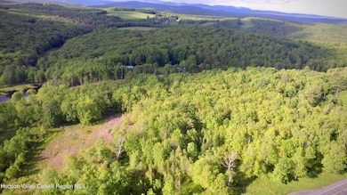 DJI_0020