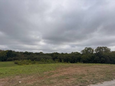 0 SE Ketchum Rd, Maysville, MO 64469 - photo 5