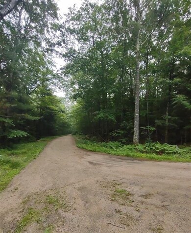 0 Albert St unit 12 4870525, Moultonborough, NH 03254 - photo 4