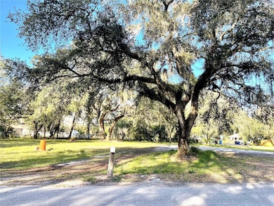 14820 N 15th St, Lutz, FL 33549 - photo 3