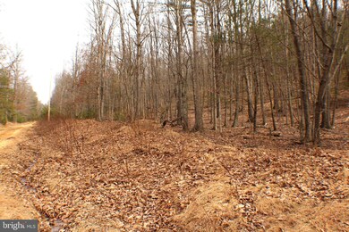 Lot 14 Leisure Acres Rd, Wardensville, WV 26851 - photo 4