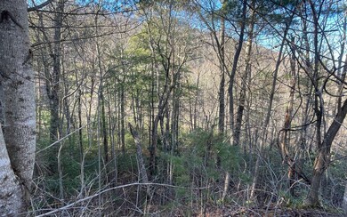 Additional View