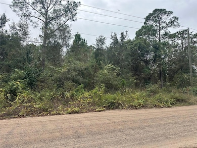 0 Settlers Loop unit MFRO6364363, Geneva, FL 32732 - photo 3