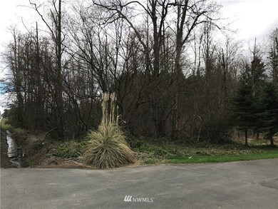 unlisted-address, Graham, WA 98338 - photo 2